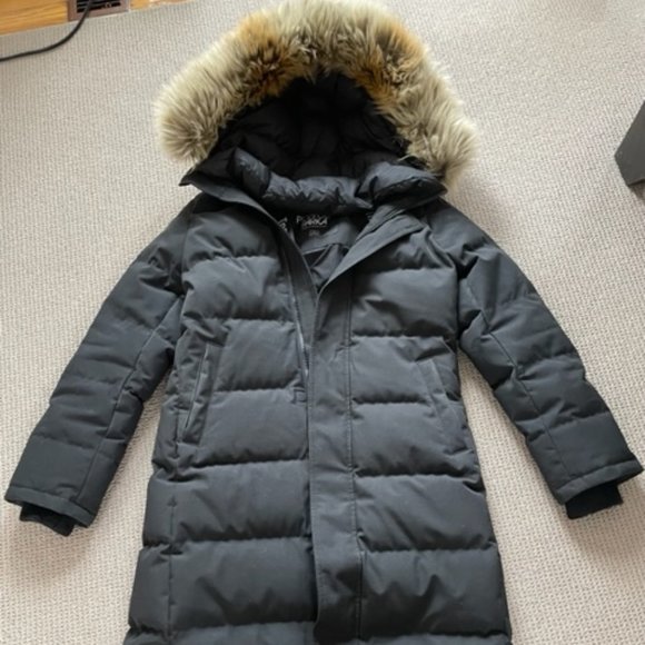 Aritzia - Powder Parka Long - Picture 1 of 7
